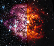 Webb and Hubble showcase Wolf-Rayet 124 (Slider Tool)