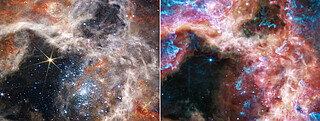 Two Views of the Tarantula Nebula (NIRCam and MIRI images)