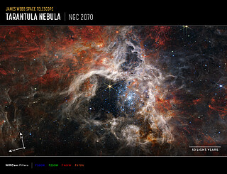 Tarantula Nebula (NIRCam Image - Annotated)