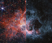 Webb’s views of NGC 604