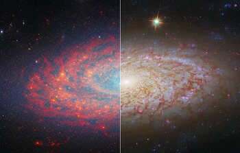 Spiral arms in a flaky disc