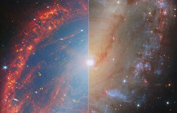 Eye to eye with a local galaxy