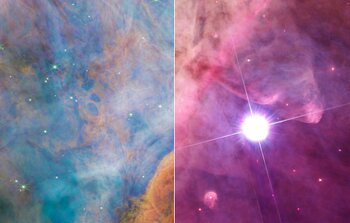 Hubble and Webb showcase part of the Orion Nebula