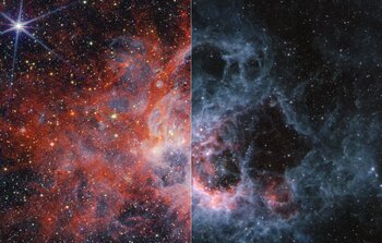 Webb’s views of NGC 604