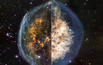 Webb Examines Cranium Nebula
