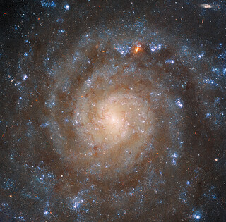 Hubble Sees the Big Picture of a Complex Galaxy