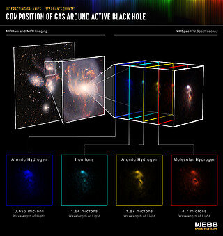 Composition of Gas Around Active Black Hole (NIRSpec IFU)