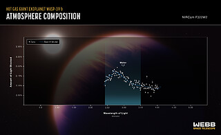 WASP-39 b Atmospheric Composition (NIRCam)