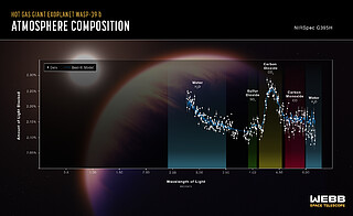 WASP-39 b Atmospheric Composition (NIRSpec G395H)