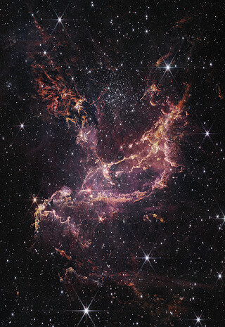 Webb Inspects NGC 346 (NIRCam Image)
