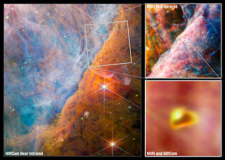 Webb studies the Orion Nebula