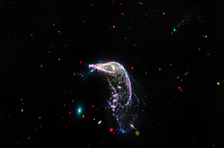 Interacting galaxies Arp 142 (MIRI image)
