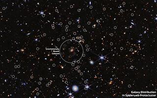 Galaxy distribution in the Spiderweb Protocluster  (NIRCam, annotated)