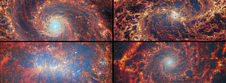 Nearby star-forming FEAST galaxies