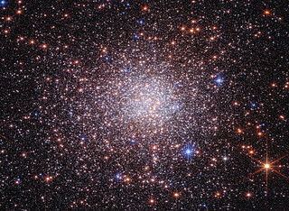 Bulge fossil fragment Terzan 5 (Webb and Hubble image)