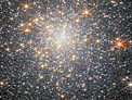 Star-studded cluster